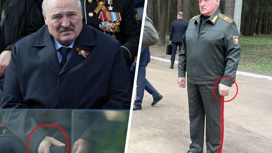 Лукашенко сообщил, что войска РБ в режиме повышенной готовности после крушения судов под Брянском