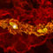 Science // AAAS