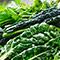 Thinkstock/Fotobank.ru