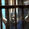 Мухаммед Мурси приговорен к казни