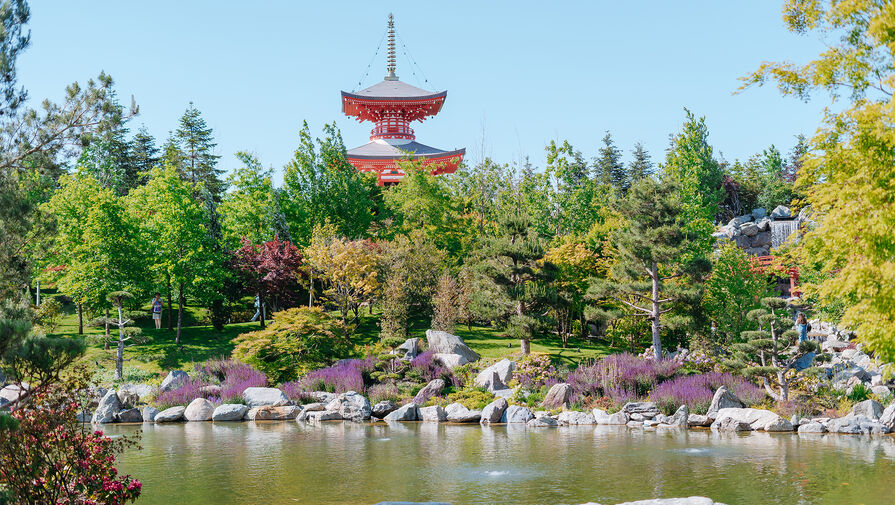 Больше половины россиян возвращаются в Краснодарский край