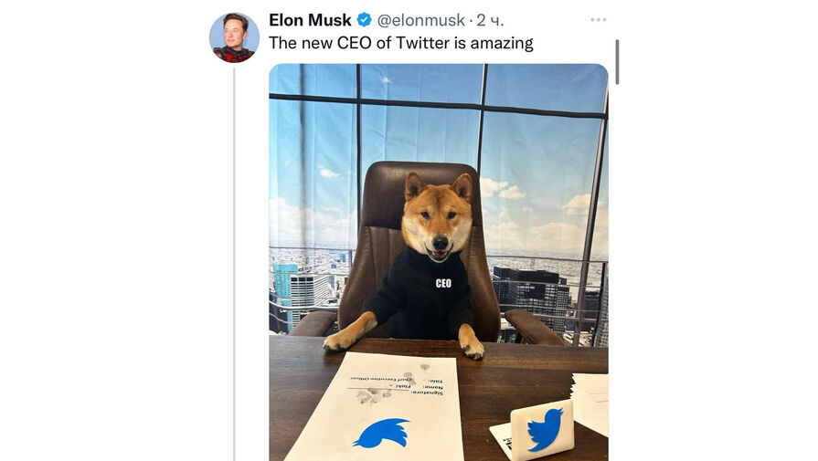 Илон Маск назначил свою собаку главой Twitter
