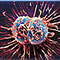 wiki.ornl.gov