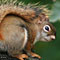 Thinkstock/Fotobank.ru