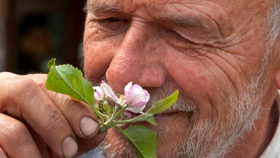 Знакомые запахи могут помочь справиться с депрессией, показало исследование