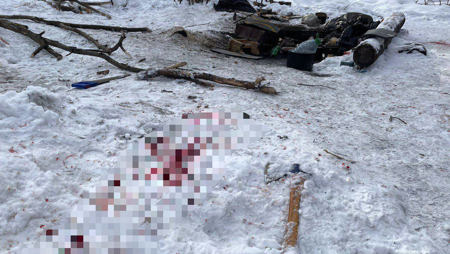 В Москве задержали мужчину, ранившего топором в парке двух человек