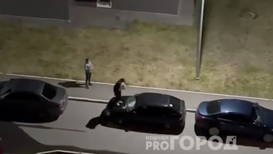 В Новочебоксарске женщина разгромила автомобиль во дворе