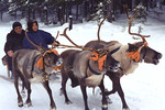 С оленями во время рабочей поездки в Ханты-Мансийск, 2003 год.