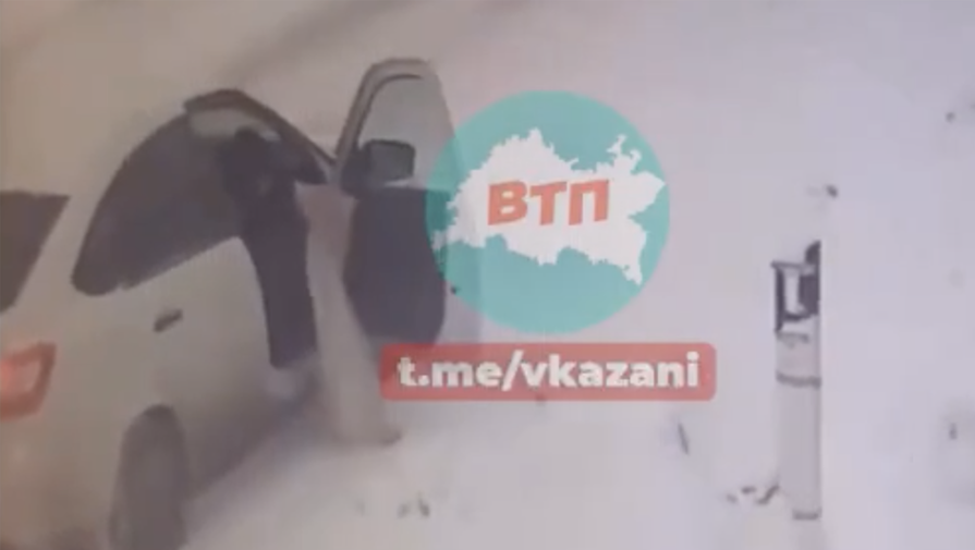 В Татарстане пассажир выбросил котят под колеса автомобиля