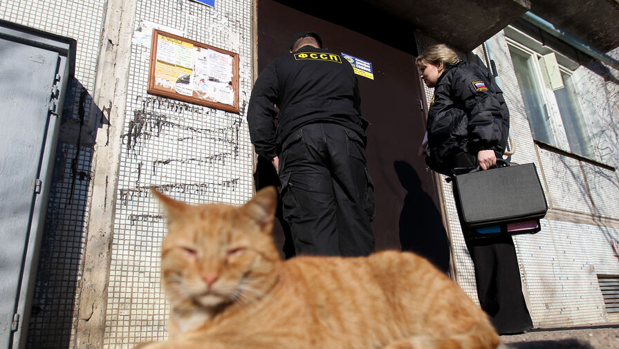 "Единый подход к сбору или реструктуризации долгов". Какие рекомендации даст Банк России