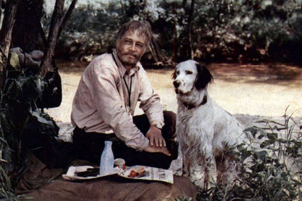 Кадр из фильма «Белый Бим Черное ухо» (1976)