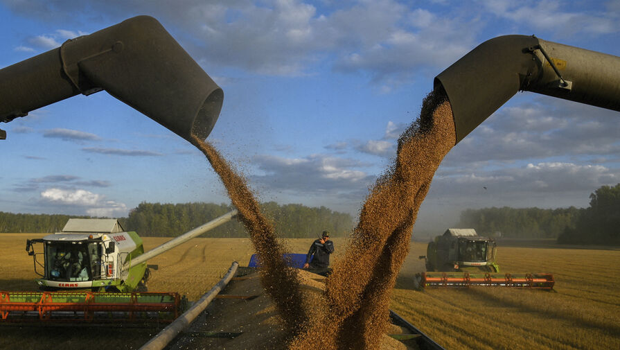 Кабмин РФ скорректировал экспортные пошлины на зерно
