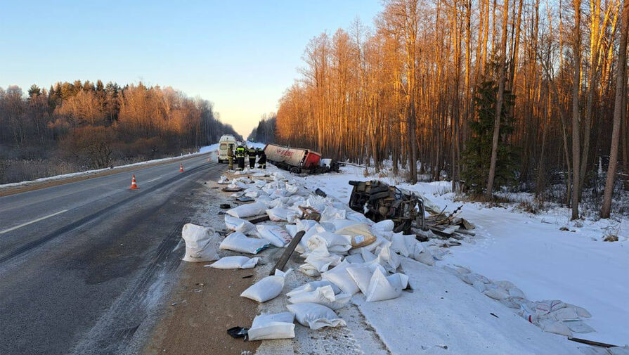 Фура Mercedes смяла стоящий ЗИЛ в Калужской области, погибли двое