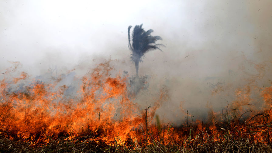 Лесные пожары в Амазонии, август 2019