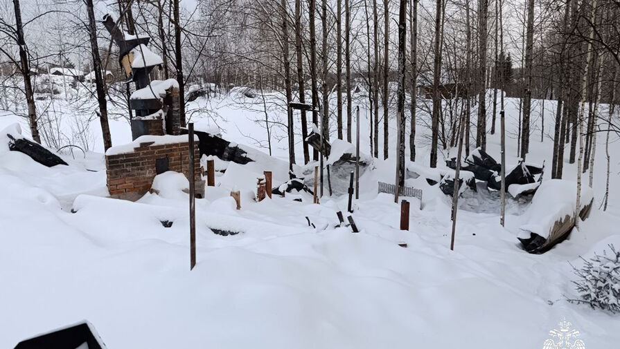 Девятилетний мальчик спас семью из пожара в Новосибирской области