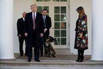 Президент США Дональд Трамп, первая леди Меланья Трамп, вице-президент Майк Пенс и служебный пес Конан у Белого дома в Вашингтоне, 25 ноября 2019 года