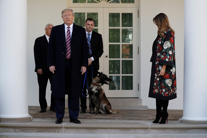 Президент США Дональд Трамп, первая леди Меланья Трамп, вице-президент Майк Пенс и служебный пес Конан у Белого дома в Вашингтоне, 25 ноября 2019 года