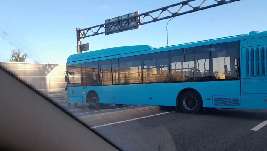 В Санкт-Петербурге голубой пассажирский автобус повис на разделительной полосе