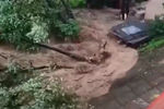 Обстановка в Рузе, где прорвало дамбу после ливня, 9 июля 2020 года (кадр из видео)