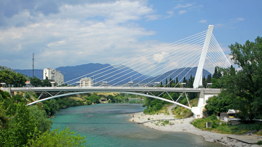 В Черногории зафиксирован первый случай заражения кракеном