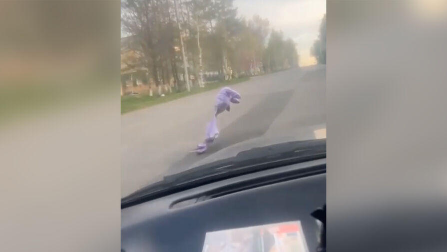 Появилось видео, как грустный Лунтик переходит дорогу в Иркутске