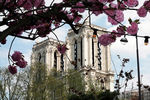Вид на Собор Парижской Богоматери, 11 апреля 2020 года