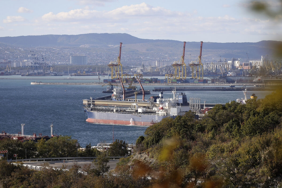 В Новороссийске проведут учения со стрельбой - Газета.Ru | Новости