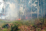 Лесной пожар в поселке Джабык, 9 июля 2021 года