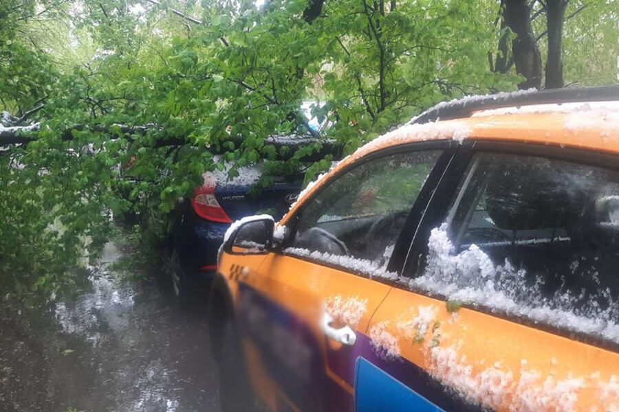 Упавшее на&nbsp;автомобиль дерево в&nbsp;результате снегопада на&nbsp;одной из&nbsp;улиц в&nbsp;Москве, 2&nbsp;мая 2025&nbsp;года