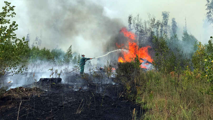 МЧС России увеличило группировку на тушении лесных пожаров в Ивановской области