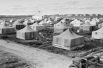 Временный палаточный городок строителей в поселке Мирный, строящемся около алмазоносной кимберлитовой трубки «Мир», 1958 год