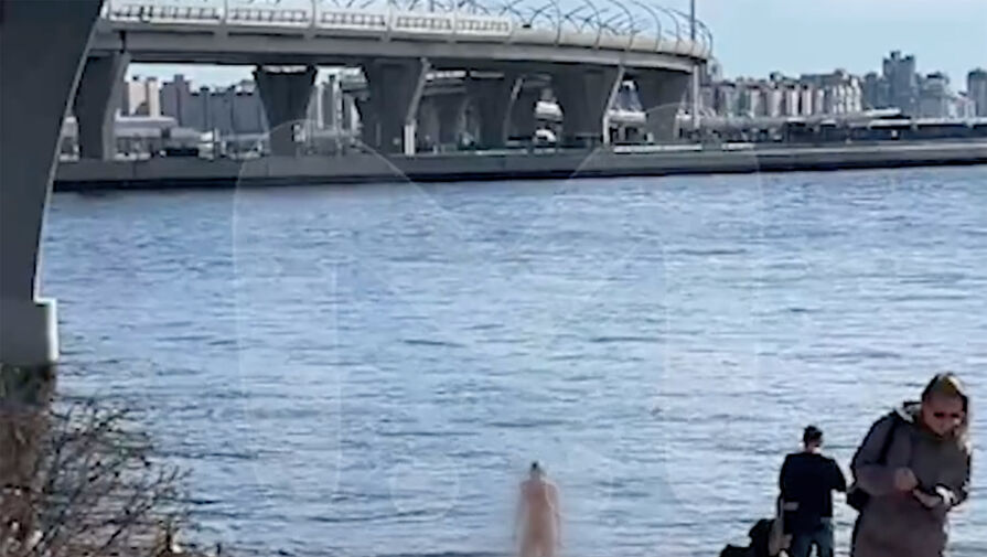 Обнаженная девушка спрыгнула с моста в Петербурге, убегая от полицейских