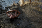 Одна из традиций фестиваля — гигантская грязевая ванна для зрителей