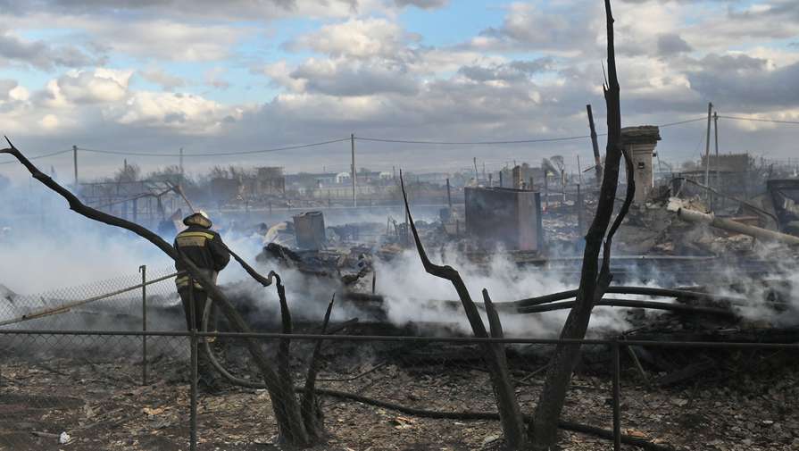 Площадь лесных пожаров в России выросла за сутки на 4,5 тыс. га