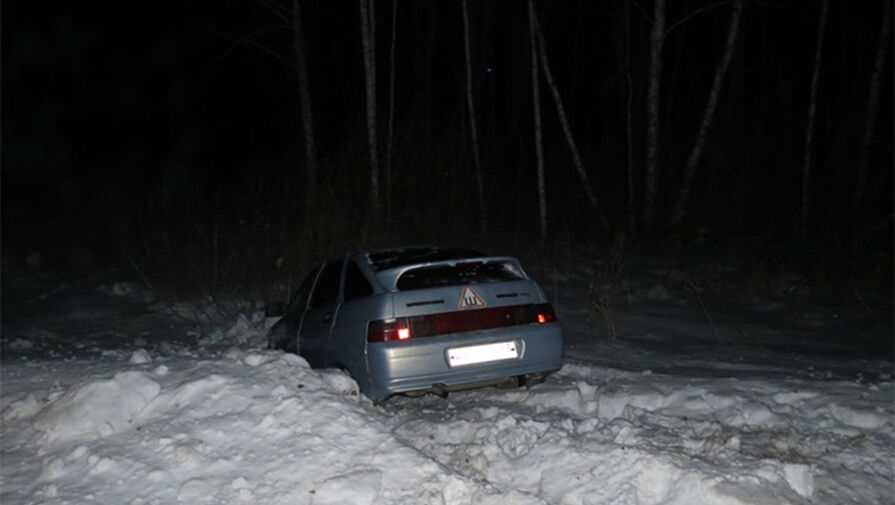 В Омской области угонщики автомобиля заблудились и едва не замерзли в лесу
