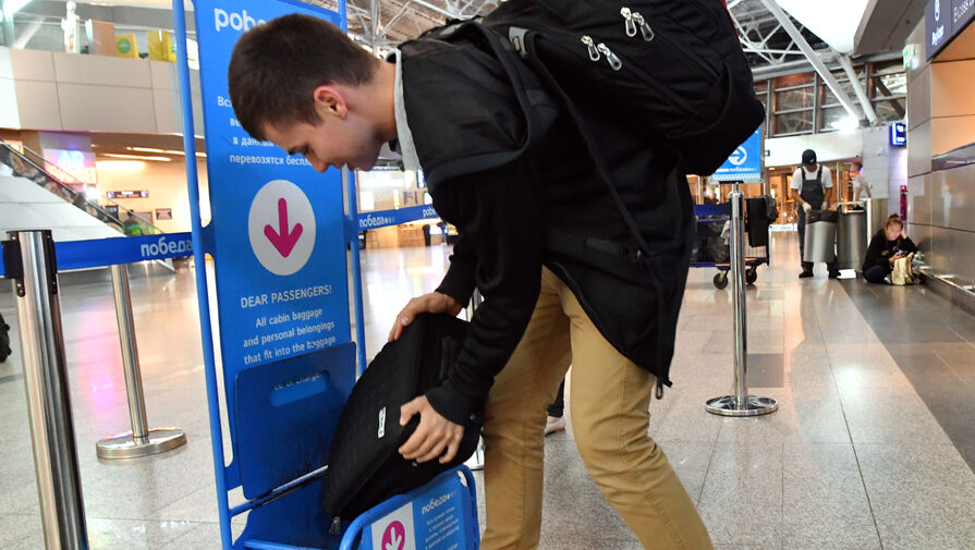 В Госдуме предложили ввести единый размер ручной клади в самолете