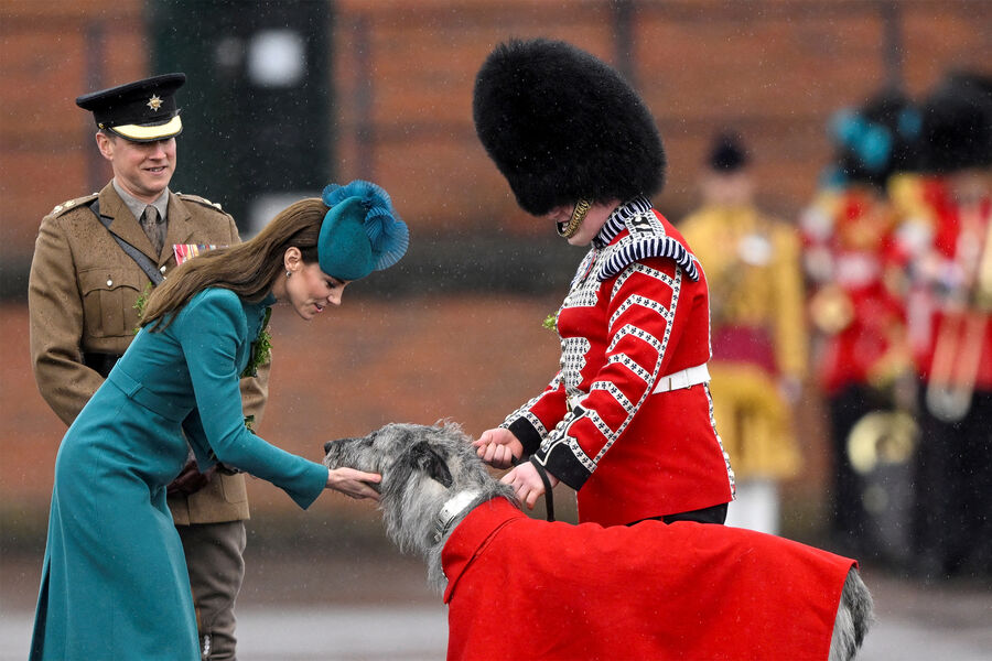 Кэтрин, принцесса Уэльская, дарит собаке-талисману ирландской гвардии, ирландскому волкодаву по&nbsp;имени Симус, трилистник на&nbsp;параде в&nbsp;честь Дня Святого Патрика в&nbsp;Олдершоте, Великобритания, 17&nbsp;марта 2023&nbsp;года 