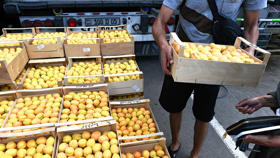 Россиянам рассказали, как употребление абрикосов влияет на организм