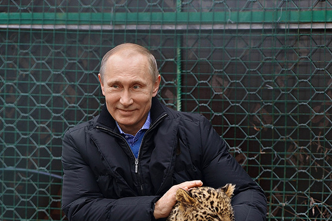 Владимир Путин во время посещения Центра разведения и реабилитации переднеазиатского леопарда, расположенного в Сочинском национальном парке, 2014 год