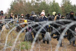 Ситуация на пропускном пункте «Брузги» на границе Белоруссии и Польши, 15 ноября 2021 года