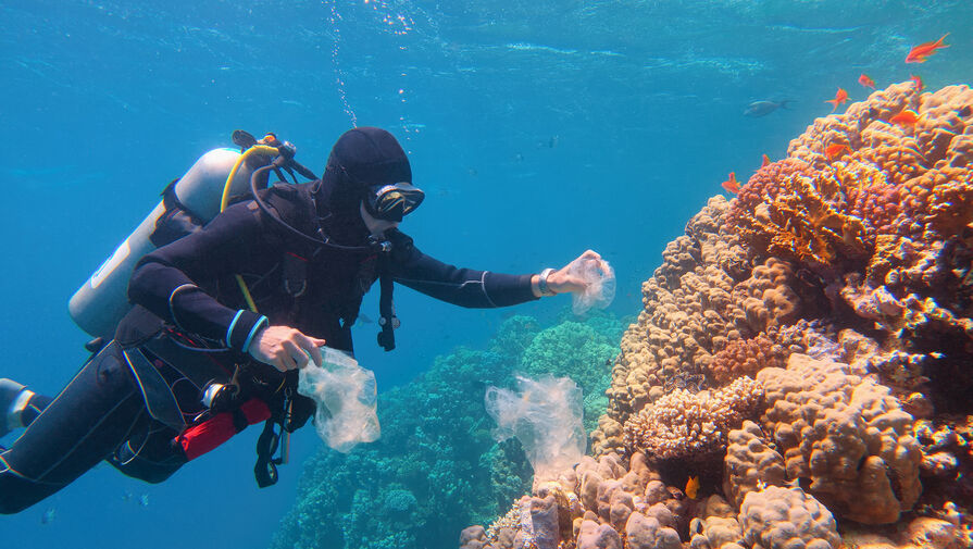 Анализ показал, что 84% коралловых рифов страдают от кислородного голода