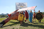 Участники чемпионата самодельных летательных аппаратов Red Bull Flugtag в Крылатском
