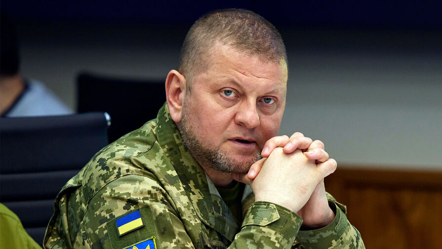 Главком ВСУ Залужный отказался от переговоров с начальниками генштабов НАТО