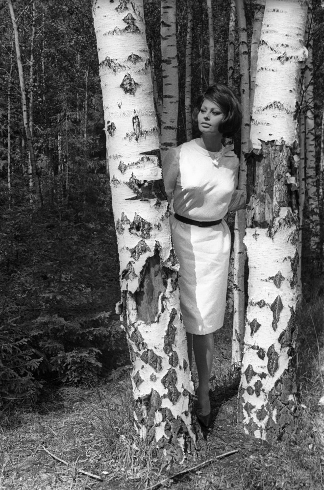 Софи Лорен в России, 1965 год