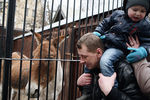 В Московском зоопарке прошла акция «Мы скучаем без вас зимой»