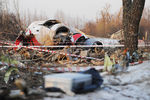 Обломки самолета Ту-154, упавшего в районе Смоленска