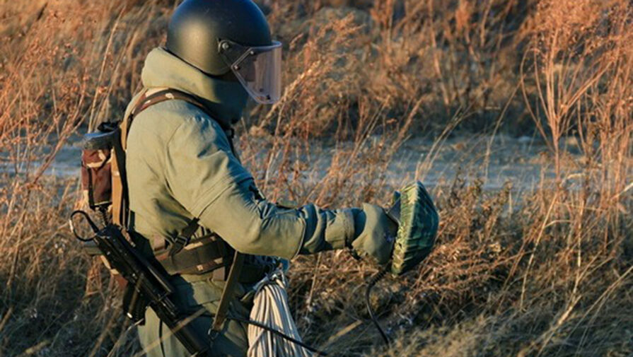 Полицейские обезвредили взрывное устройство на газопроводе в Запорожской области