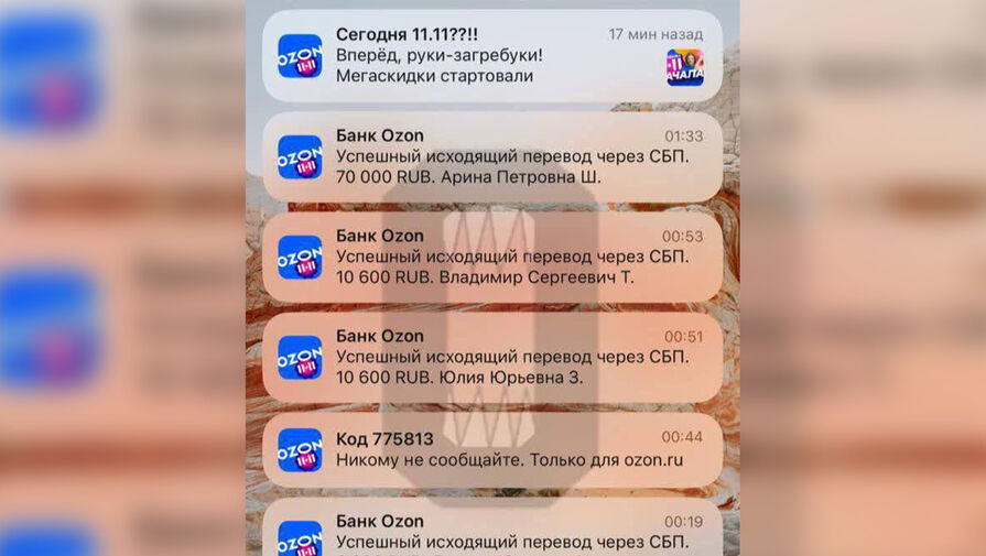 Мошенники списали с аккаунта москвички на Ozon 66 тыс. рублей и взяли в рассрочку еще 120
