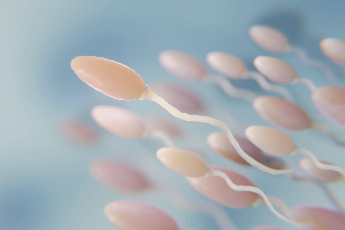может ли сперма держаться 3 месяца на трусах???