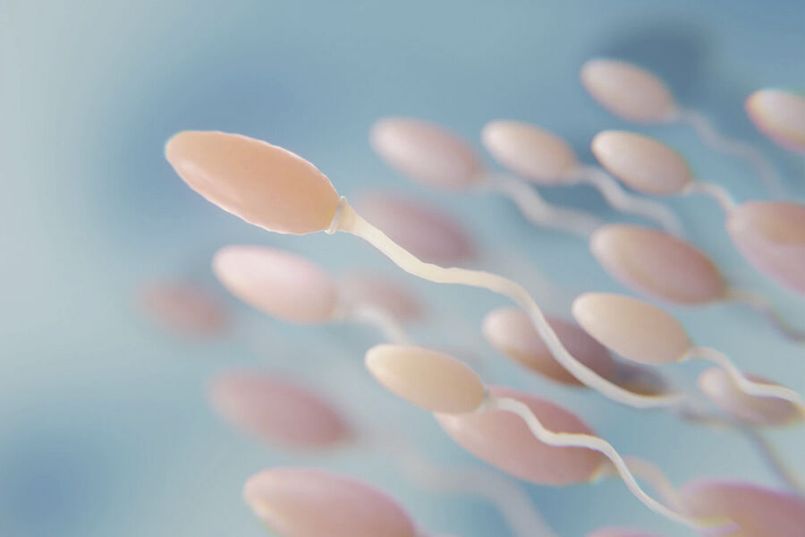 Польза спермы для женского организма и здоровья: влияние спермы на женщину | ЭКО-блог